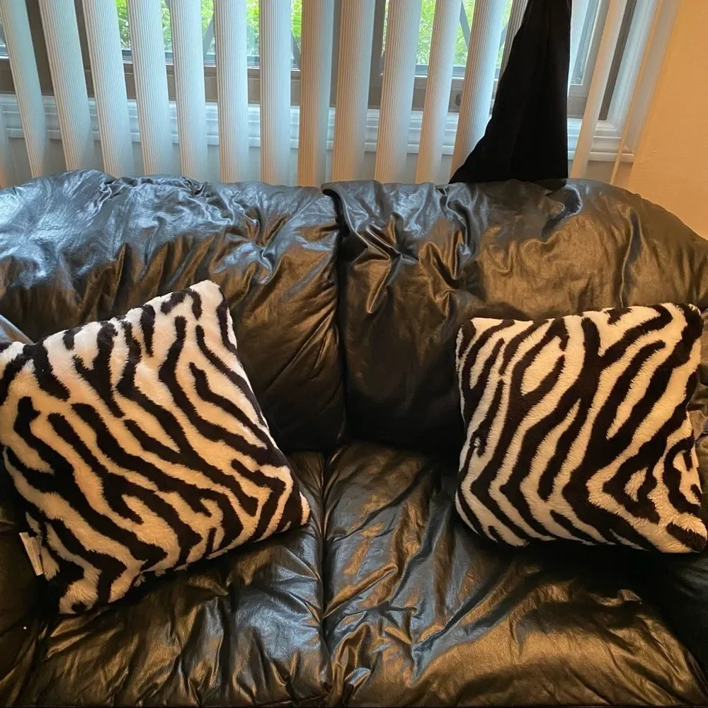 Zebra decorative Pillows 18”x18” QTY 2